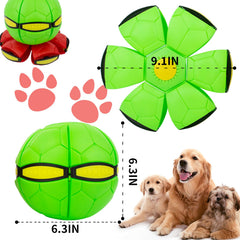 OOXYG Magic Bouncing Ball flying-disc mode demonstrates versatile two-in-one action