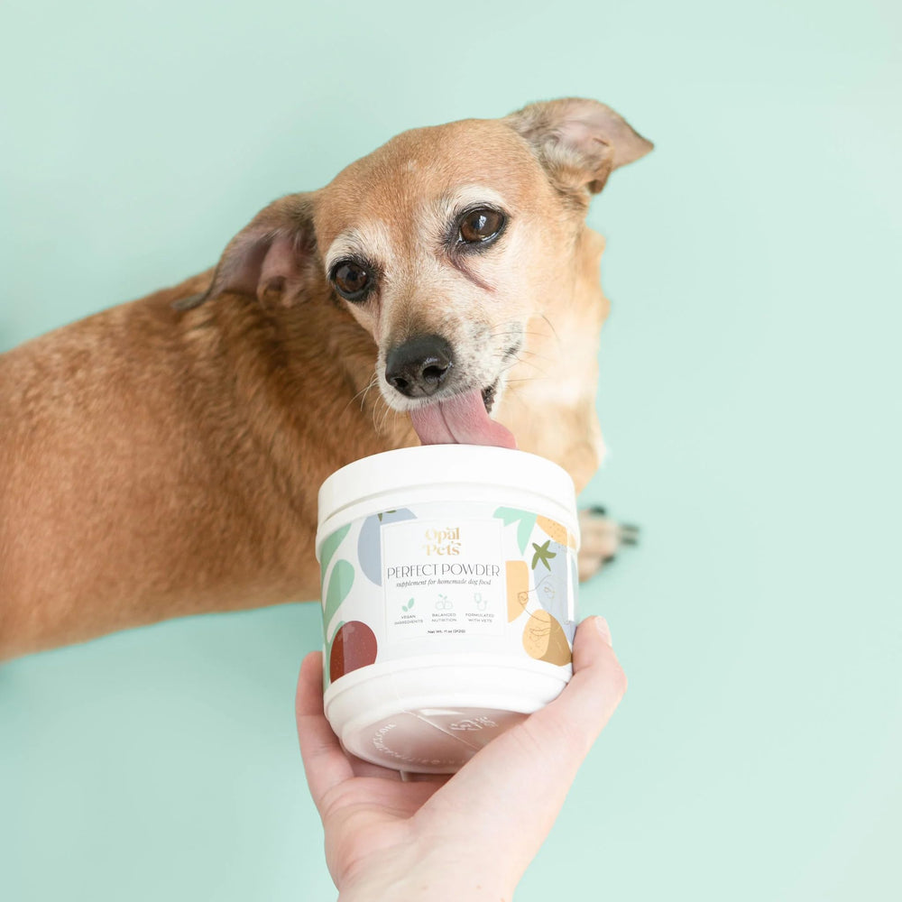 Opal Pets Perfect Powder scoop pouring into dog dish at mealtime.