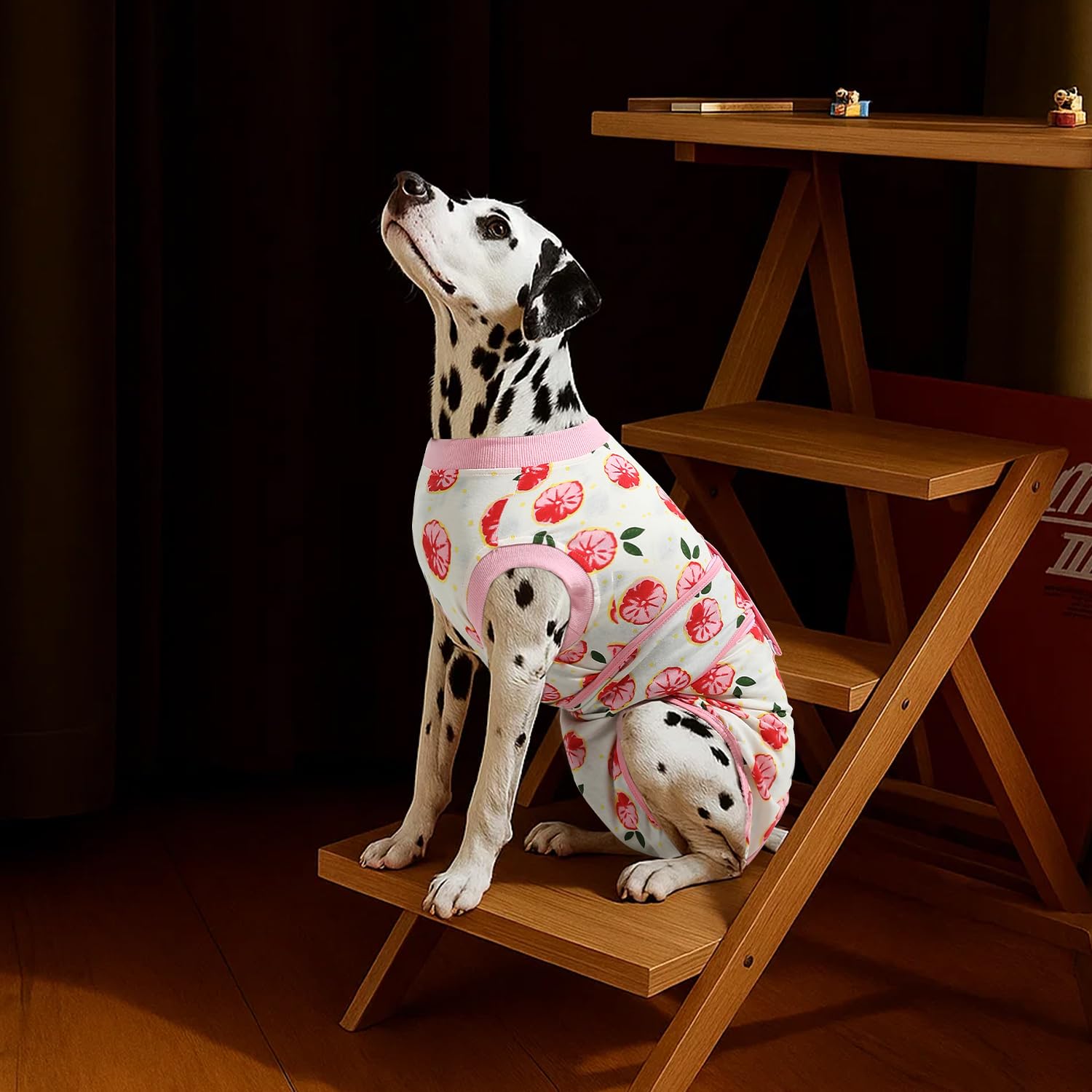 Pet using bathroom opening in OPAW recovery suit