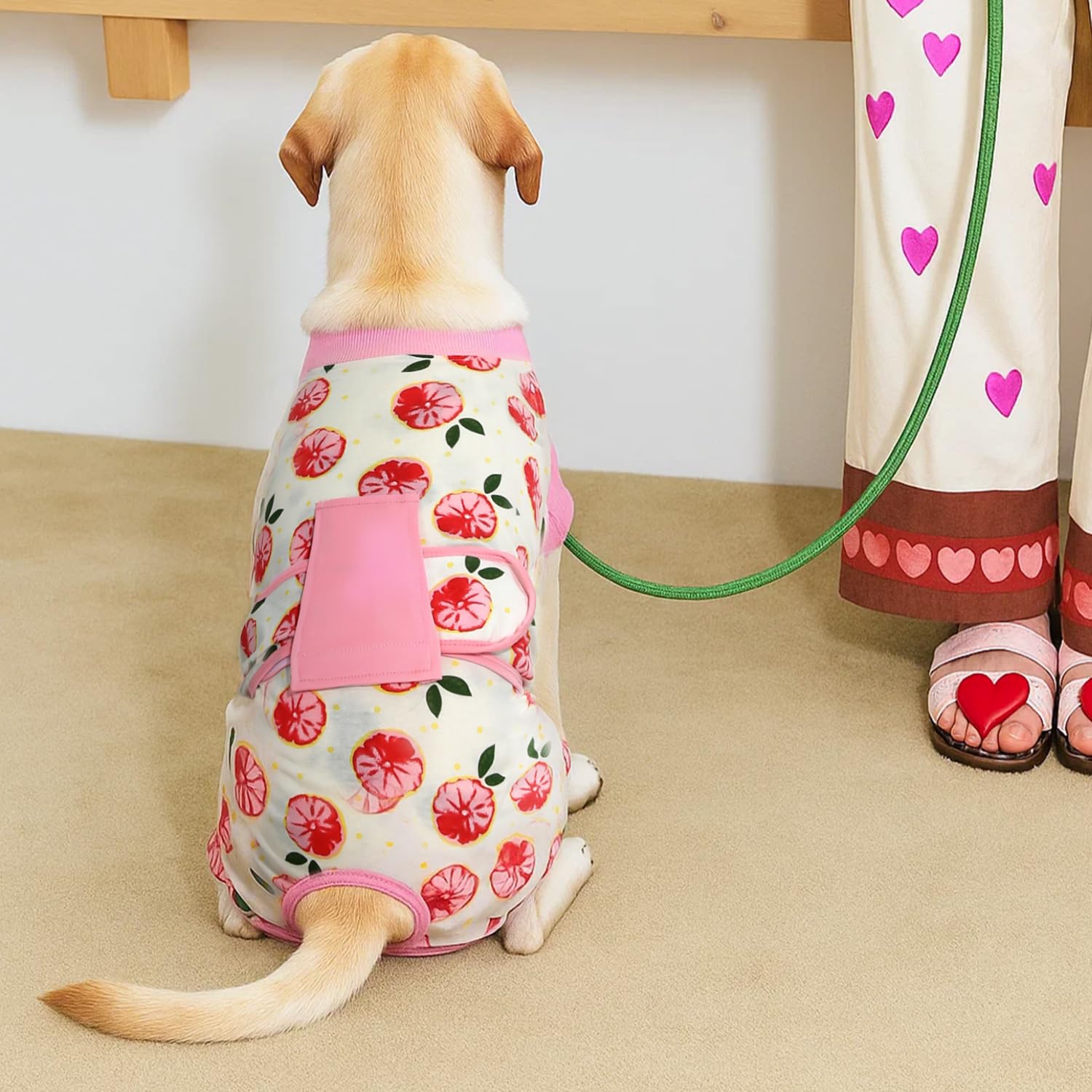 Cat wearing OPAW recovery suit demonstrating cone-less protection