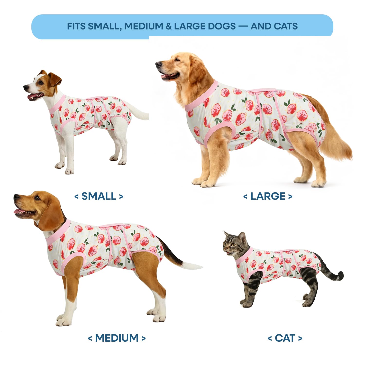 OPAW daily-wear versatility image showing pet at home wearing the suit for comfort and cleanliness.