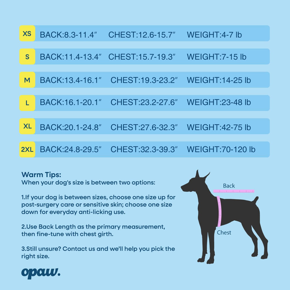 Dog wearing OPAW recovery suit highlighting fit and mobility