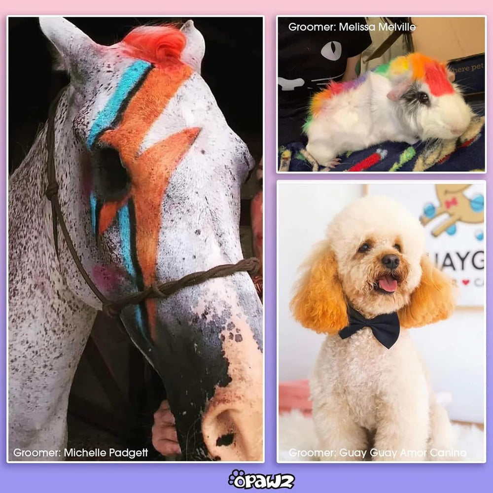 OPAWZ purple pet hair dye pen for creative coat highlights on pets