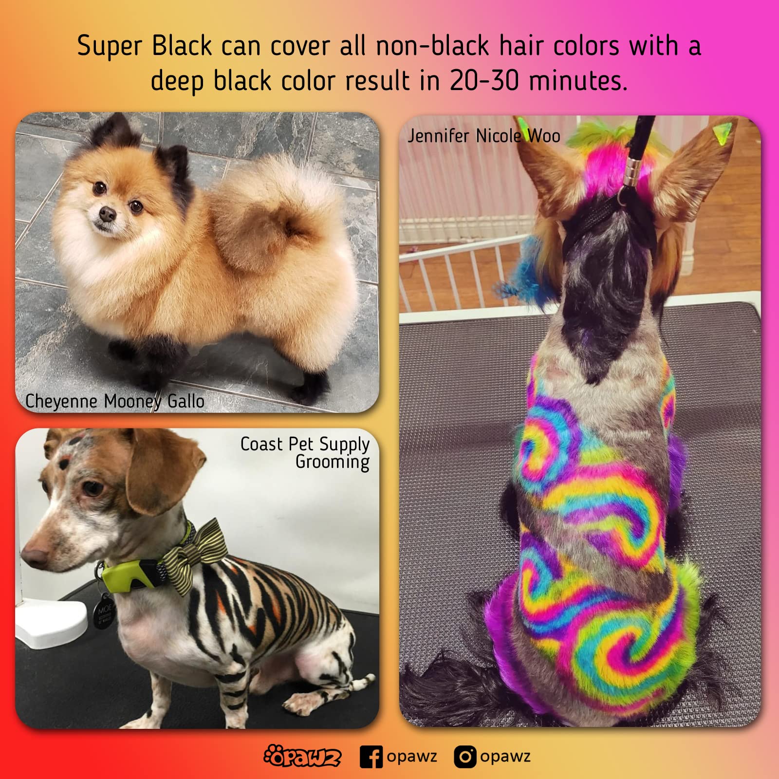 OPAWZ Super Black finished dog coat displays deep true black color