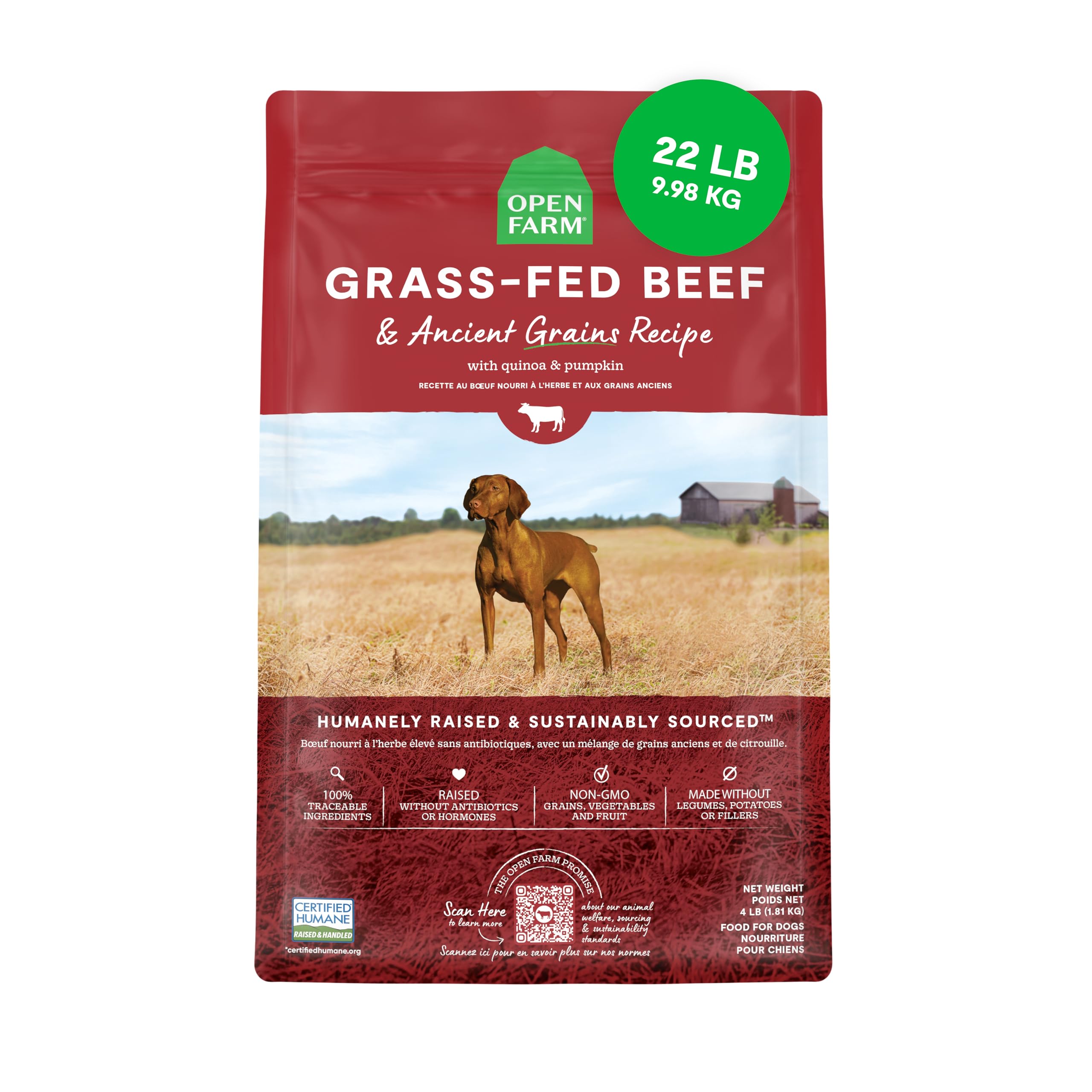 Open Farm Ancient Grains dog food bag front, showcasing premium ingredients for steady energy.