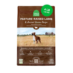 Open Farm Ancient Grains kibble close-up, protein-rich formulation for active dogs.