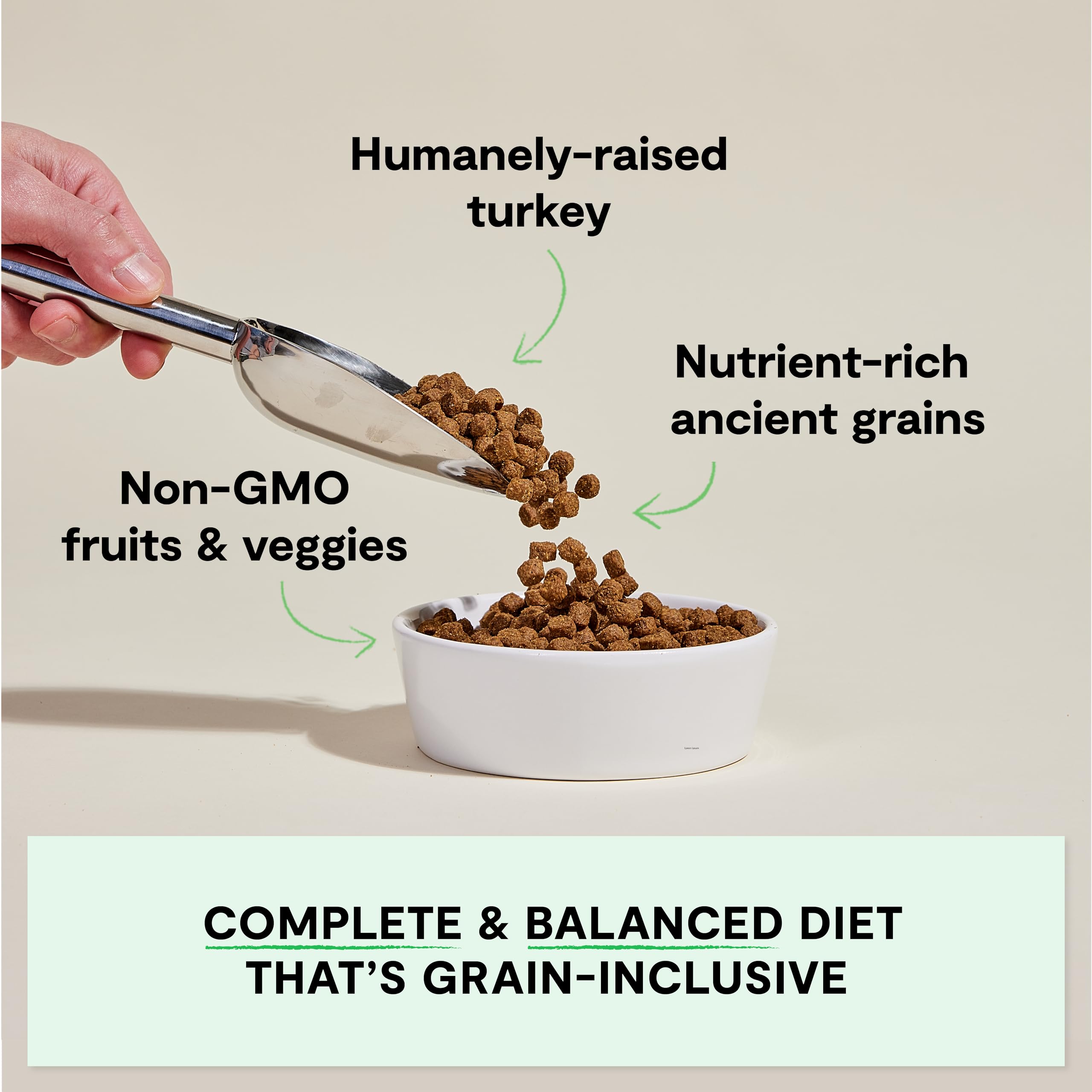 Open Farm Ancient Grains dry dog food bag back highlights traceable ingredients