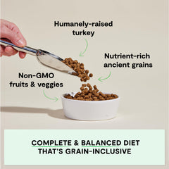 Open Farm Ancient Grains dry dog food bag back highlights traceable ingredients
