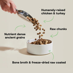 Open Farm ancient grains ingredients highlight wholesome grains for steady energy