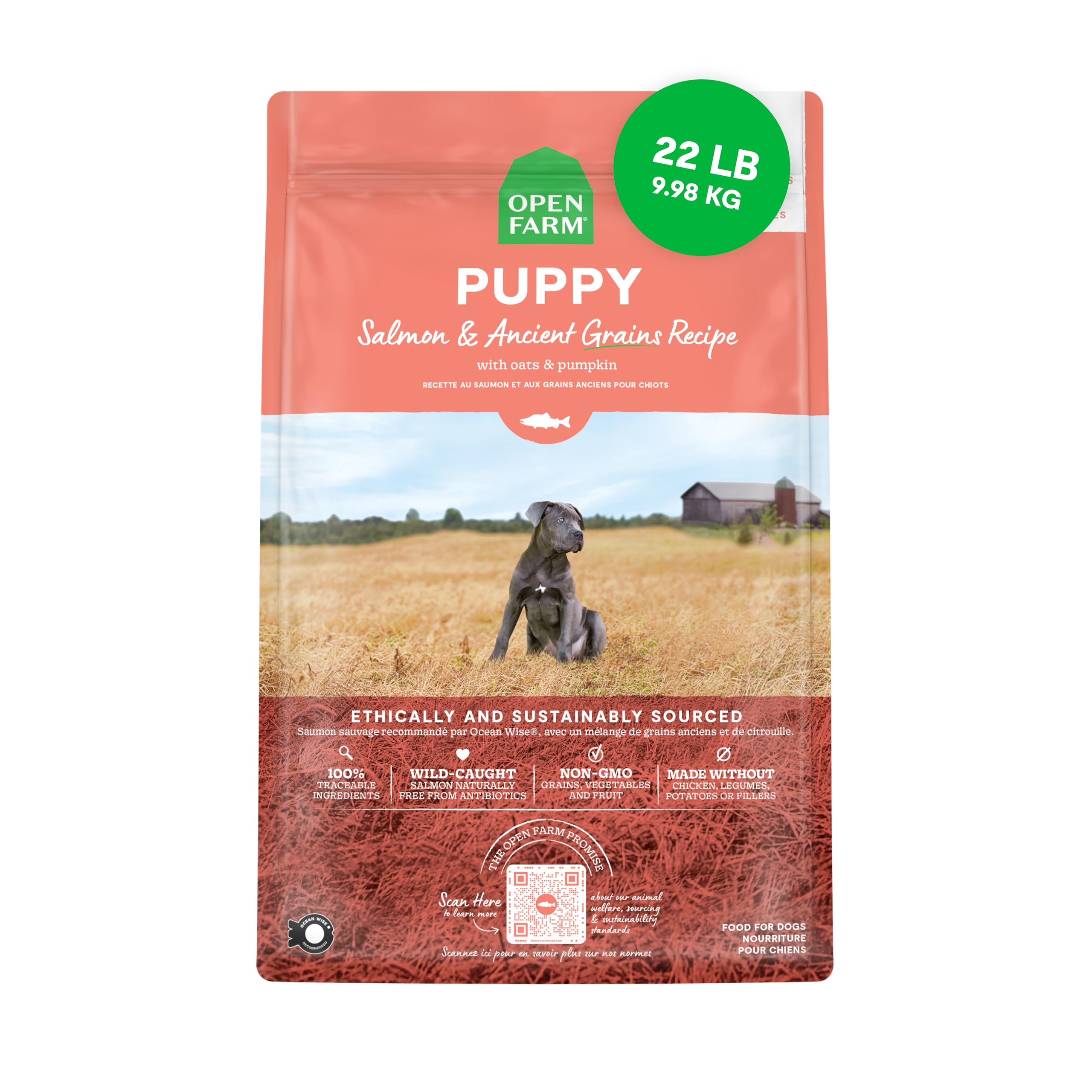 Open Farm ancient grains puppy salmon 22lb bag highlights protein-rich nutrition for growing dogs.