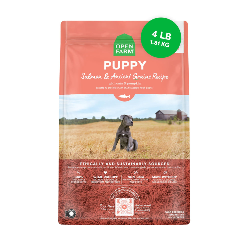 Open Farm Ancient Grains Salmon Puppy Food in a bowl, protein-rich meal for growing puppies.
