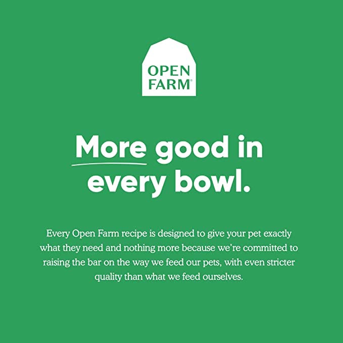 Open Farm bone broth turkey bowl served highlights a nourishing topper for dogs and cats