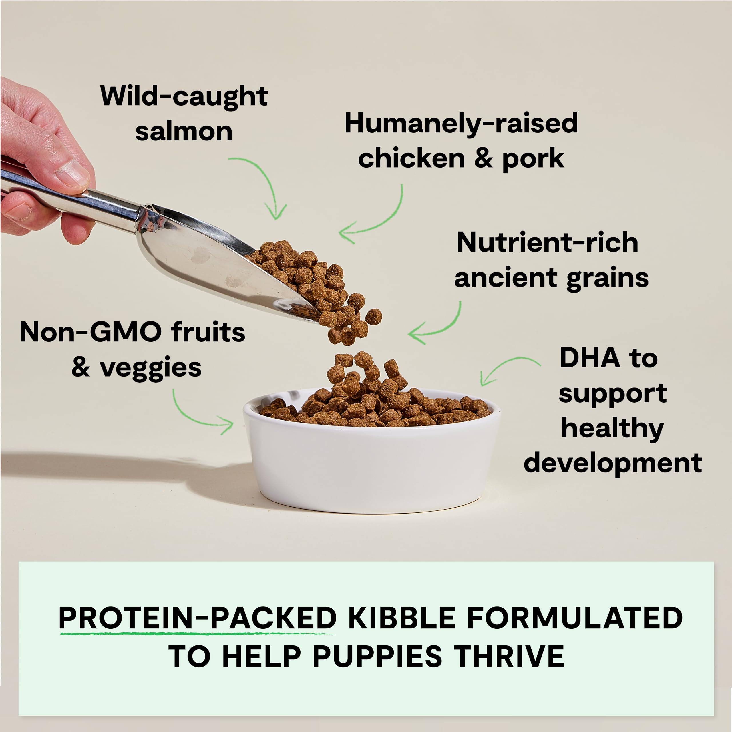 Open Farm chicken-salmon puppy kibble closeup highlighting real meat in every bite