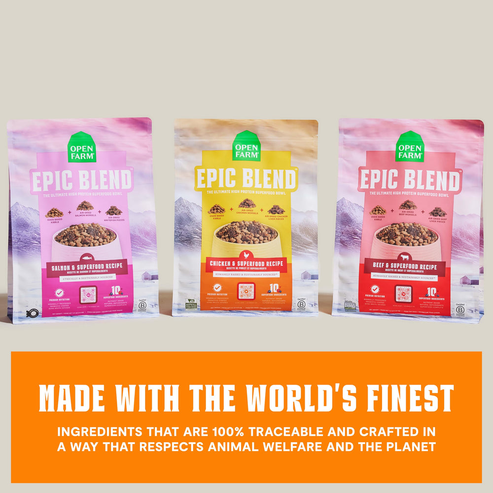 Open Farm chicken and superfoods ingredient shot highlighting nutrient-dense mix.