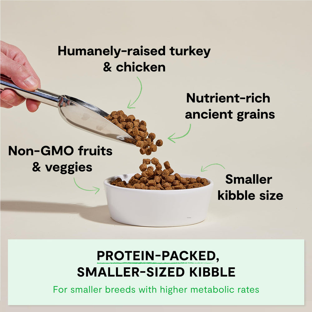 Open Farm Chicken-Turkey Recipe dry dog food serving bowl highlights protein-rich formula.