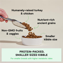 Open Farm Chicken-Turkey Recipe dry dog food serving bowl highlights protein-rich formula.