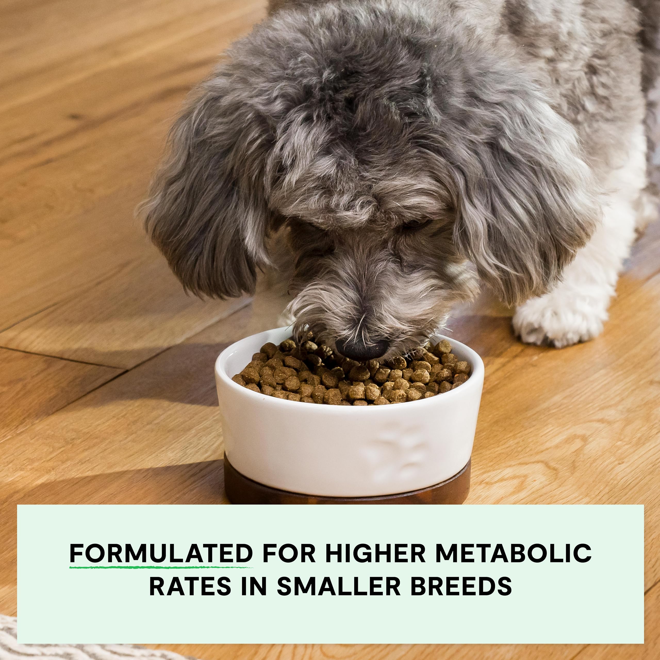 Open Farm chicken-turkey recipe kibble ideal for small dogs.