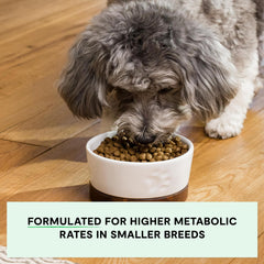 Open Farm chicken-turkey recipe kibble ideal for small dogs.