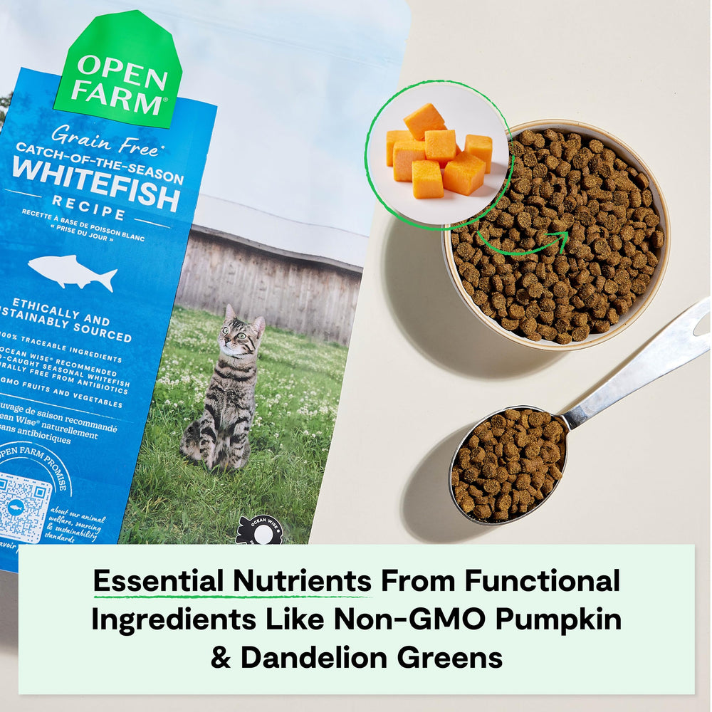 Open Farm cranberry and dandelion greens emphasize vitamins and urinary health support.