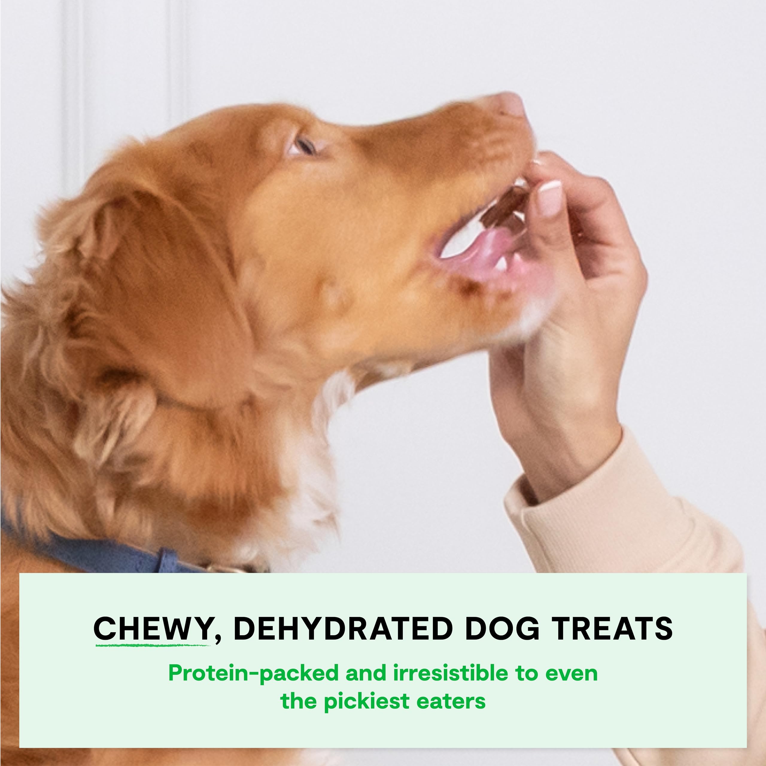 Open Farm Dehydrated Dog Treats grass-fed beef recipe showcases high protein flavor.