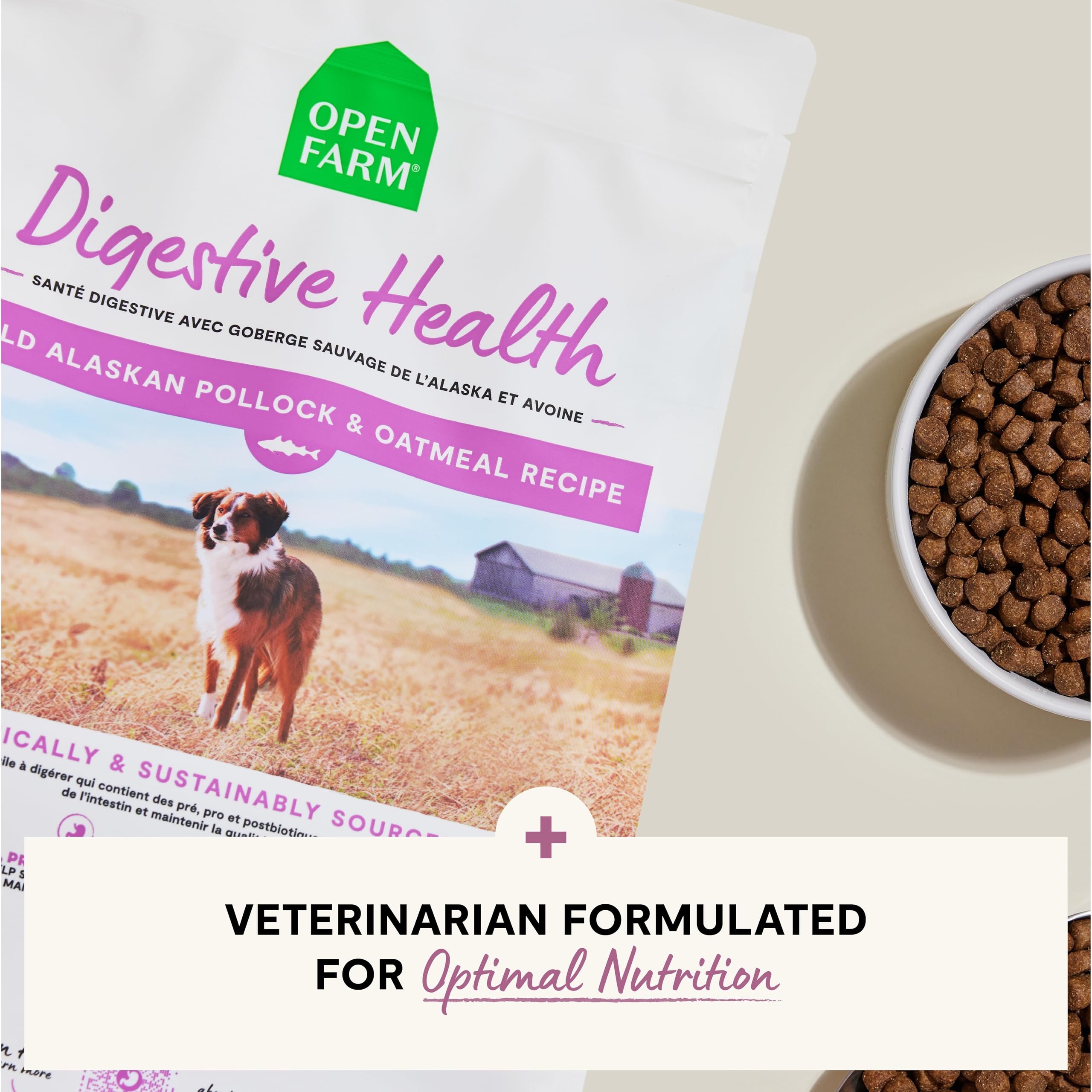Open Farm Digestive Health meal in dog bowl ready to serve
