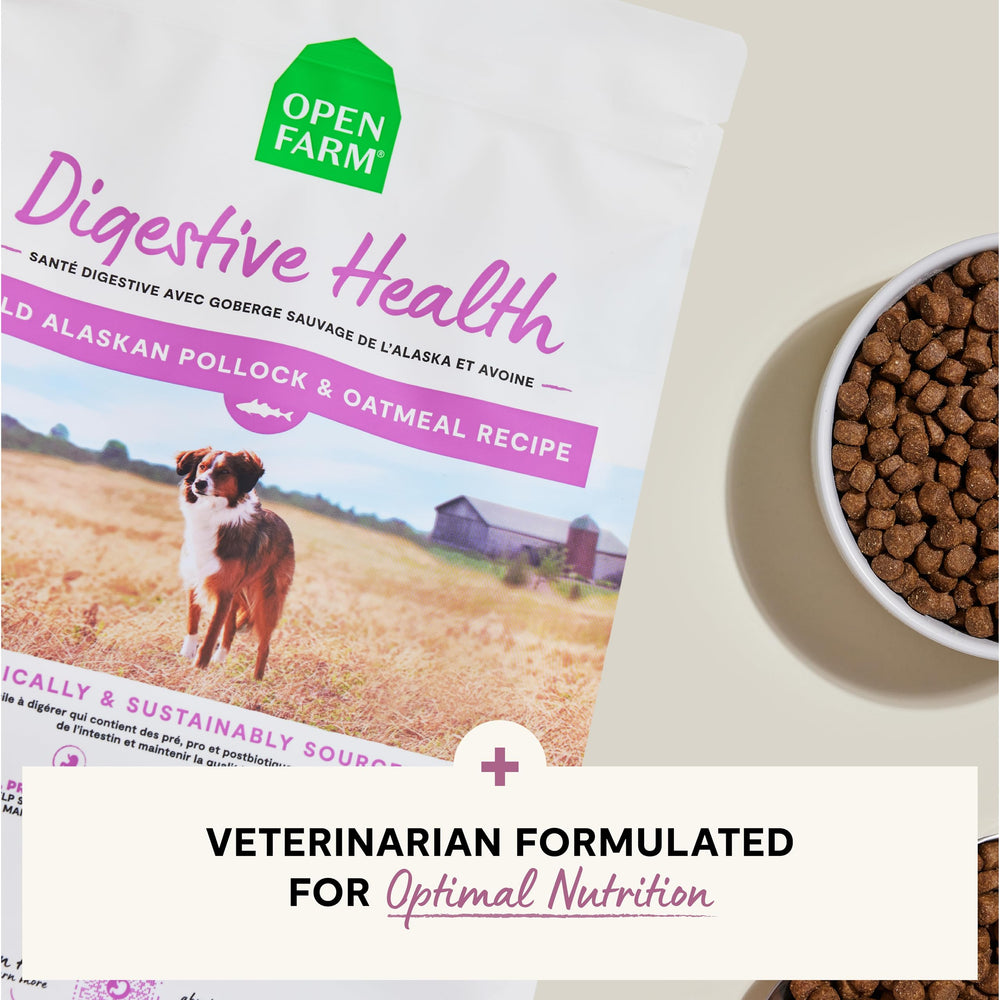 Open Farm Digestive Health meal in dog bowl ready to serve