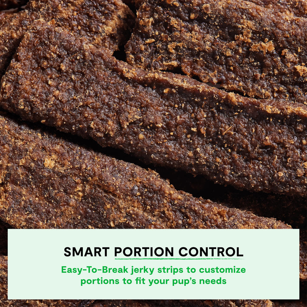 Open Farm grain-free beef jerky pieces highlighting ethical sourcing and protein-rich snack