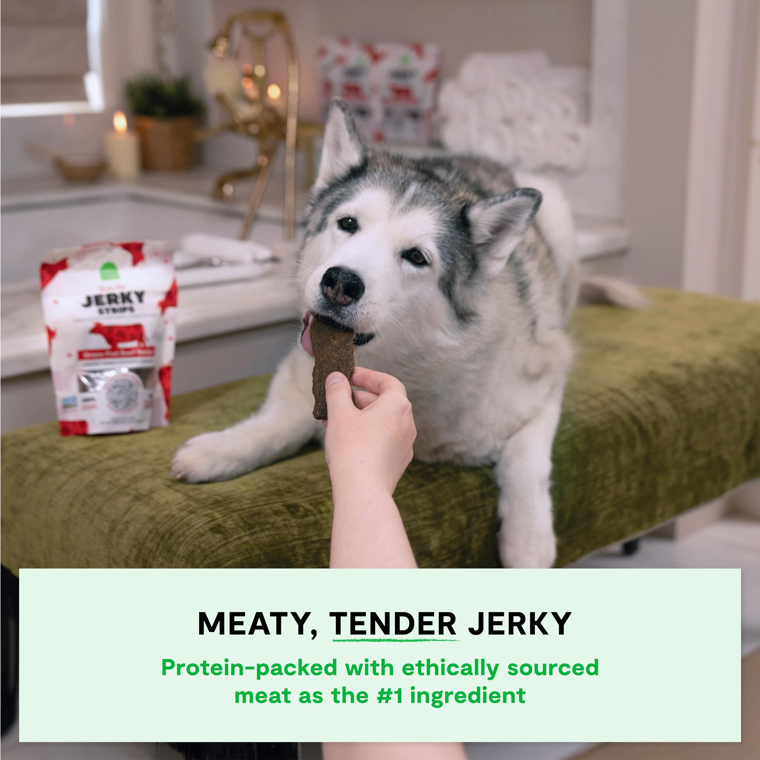 Open Farm oven-baked jerky strips with grain-free beef for picky eaters