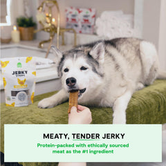 Open Farm dog jerky oven-baked texture close-up with rich aroma.