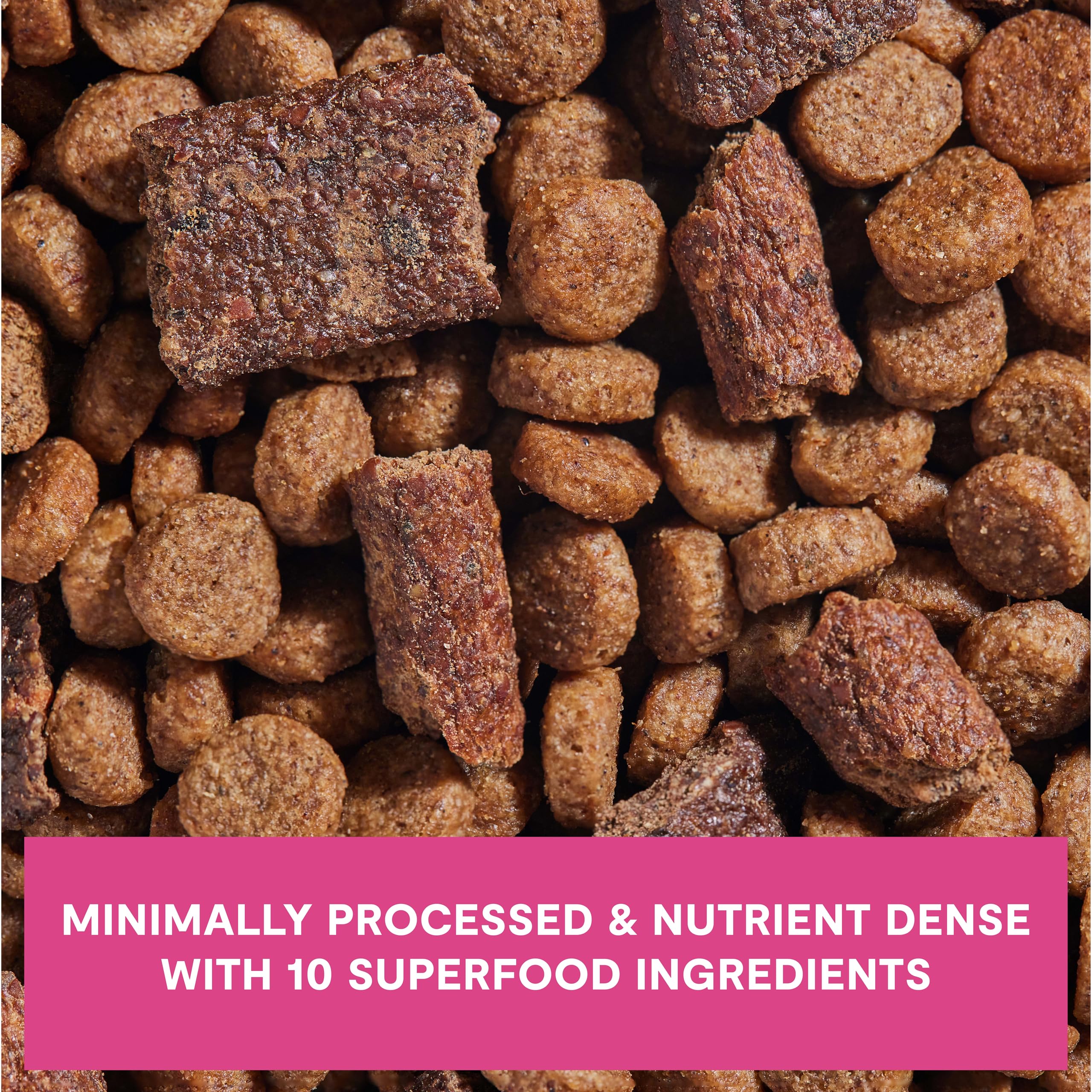 Open Farm Epic Blend bone broth-infused kibble for savory nutrition.