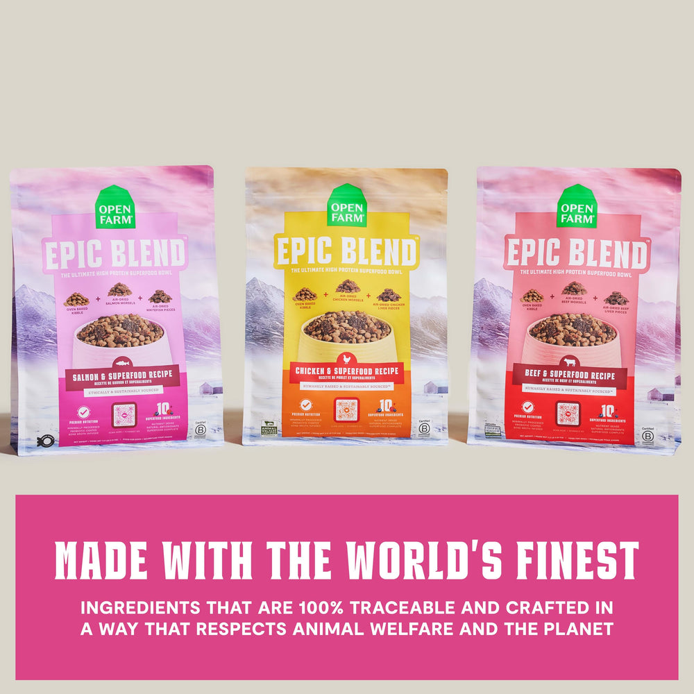 Open Farm Epic Blend oven-baked kibble highlights minimal processing.