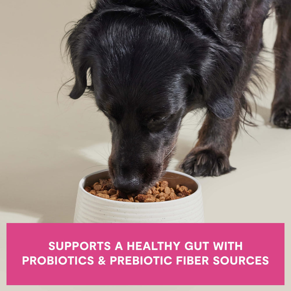 Open Farm Epic Blend probiotic-coated kibble supports digestive balance.
