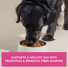 Open Farm probiotic-coated kibble supports gut-friendly nutrition