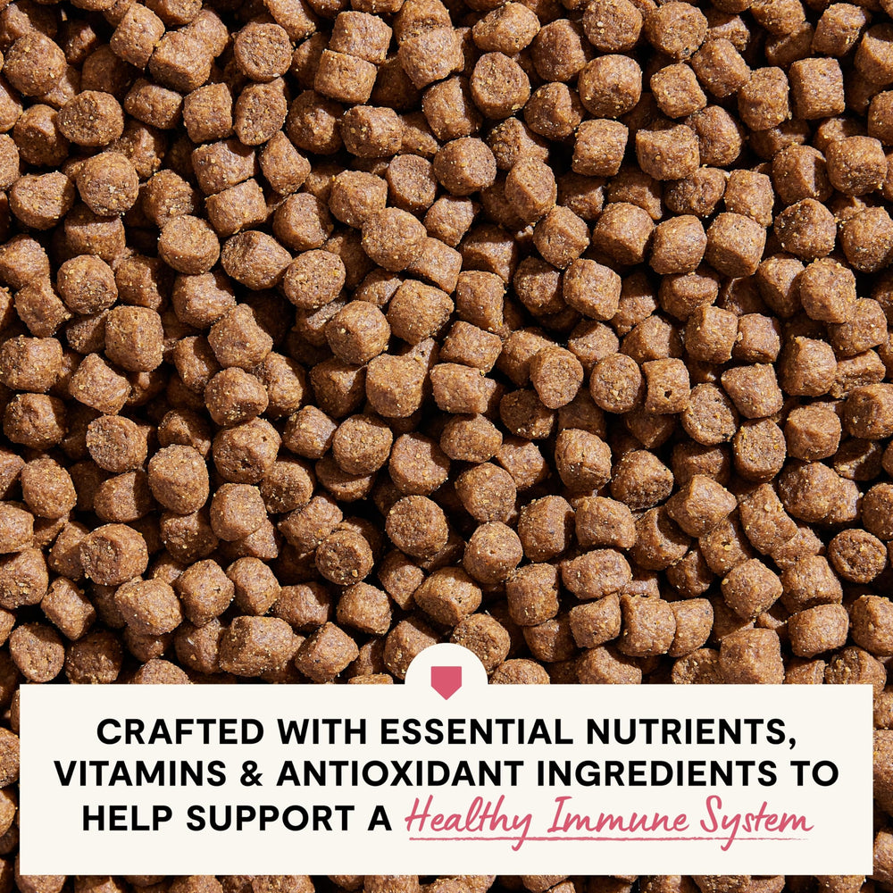 Open Farm flaxseed DHA and EPA image underscores fatty acid balance for skin comfort.