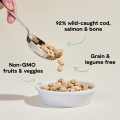 Open Farm freeze-dried raw cat food morsels served in a bowl offer a convenient meal option.
