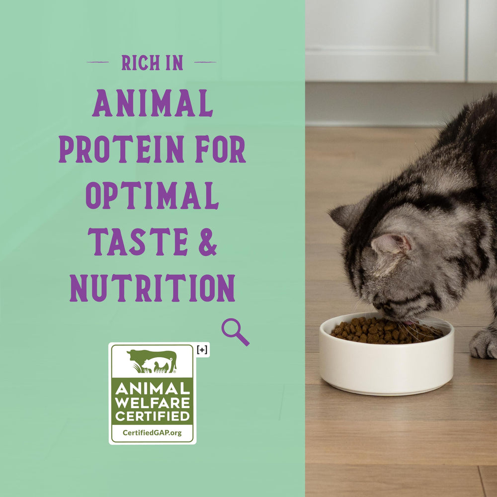 Open Farm Goodbowl digestion support close-up with prebiotic fibers