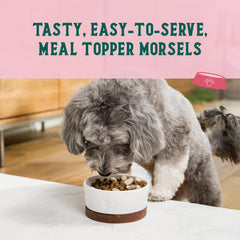Open Farm Goodbowl oats and barley grains, wholesome non-GMO ingredients for balanced meals