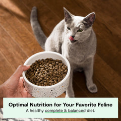 Open Farm grain-free lamb cat food bag highlighting grain-free nutrition.