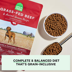 Open Farm grass-fed beef recipe bowl served showing balanced nutrition for active dogs.