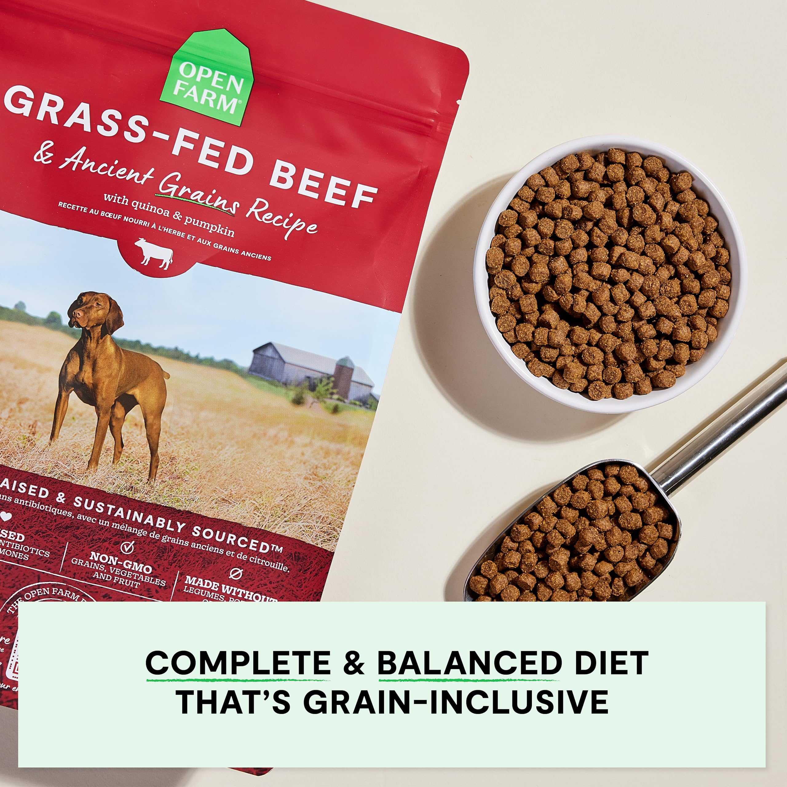 Open Farm Grass-fed Beef recipe dog bowl served, showcasing balanced protein and flavor.