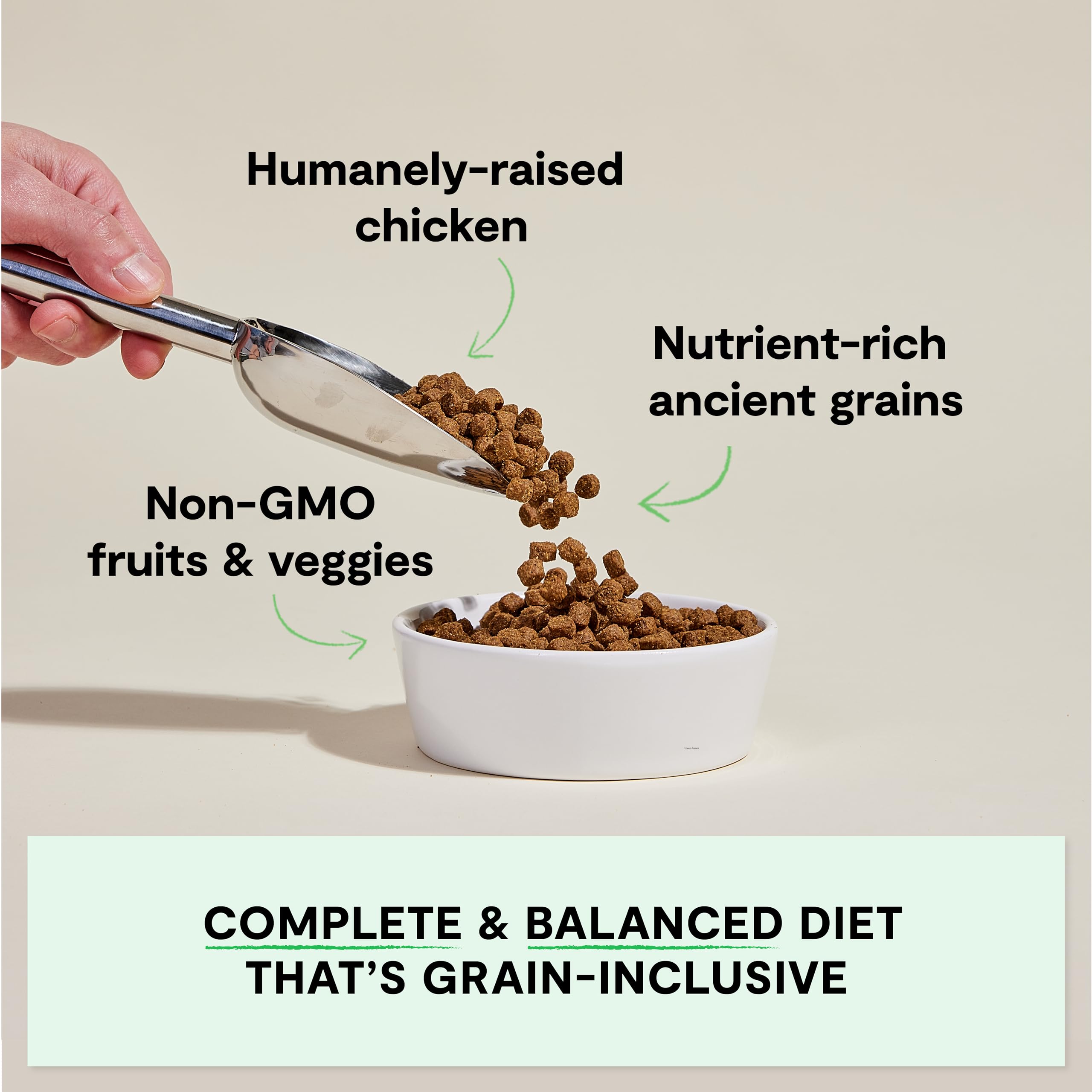 Open Farm Harvest Chicken kibble close-up highlights high-protein, digestible bites.