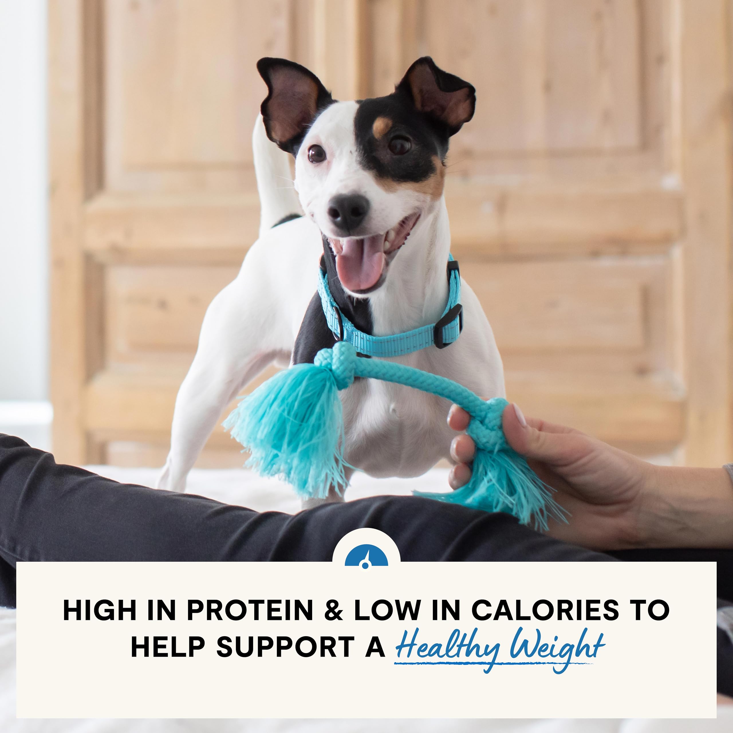 Open Farm Healthy Weight ingredients highlight fiber-rich recipe and omega-3 for joints.