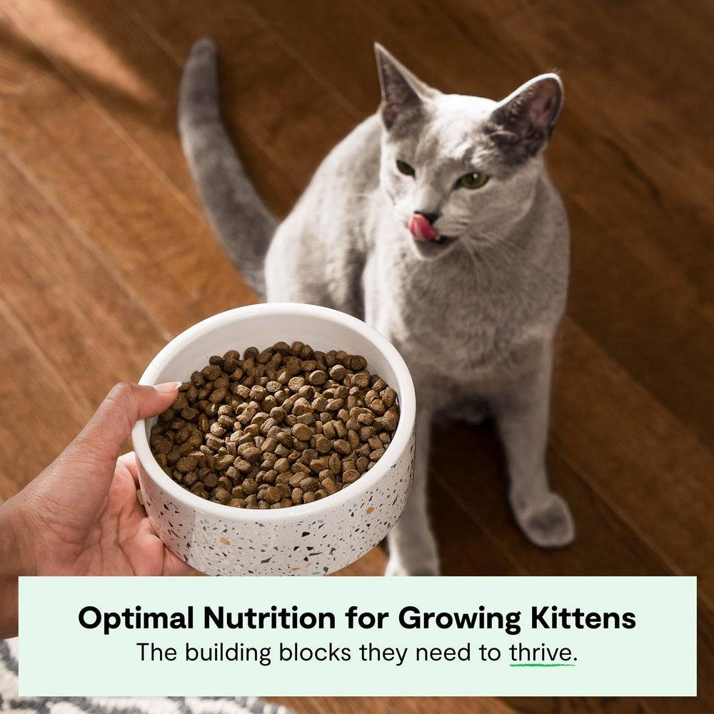 Open Farm homestead turkey and chicken ingredients highlight high-quality protein.