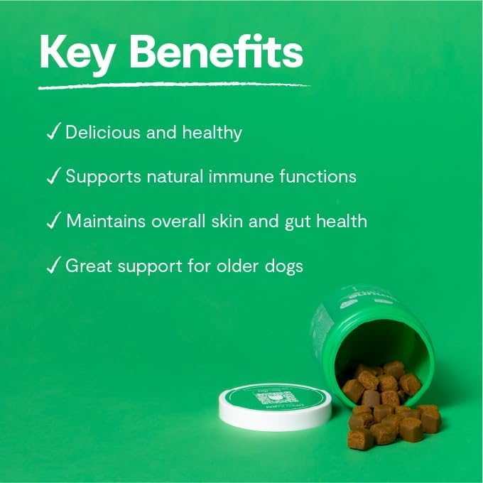 Open Farm Immune Chews close-up showing soft texture and appetizing appearance
