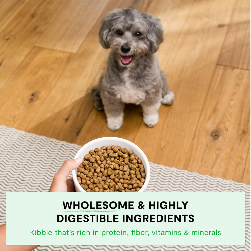Open Farm ingredient traceability label verifies origin and quality of ingredients.