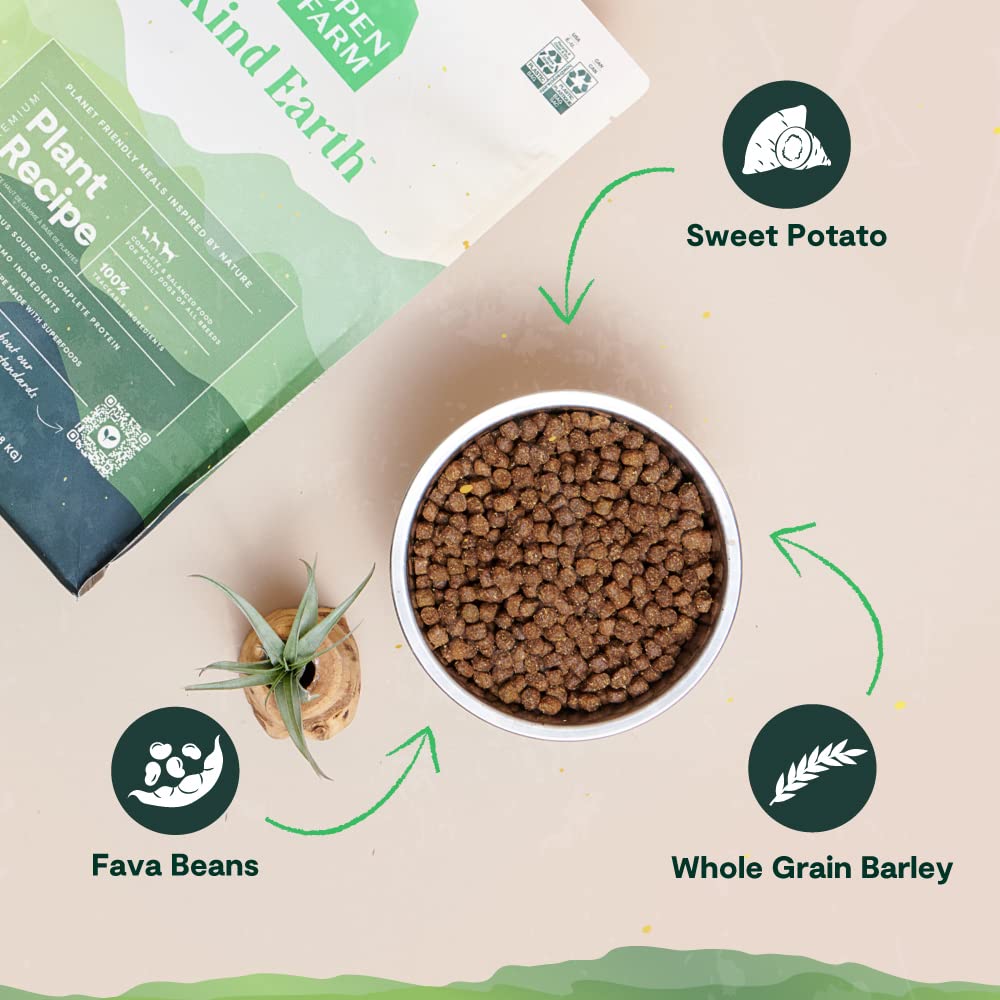Open Farm Kind Earth plant-based dry dog kibble portion ready for mealtime.