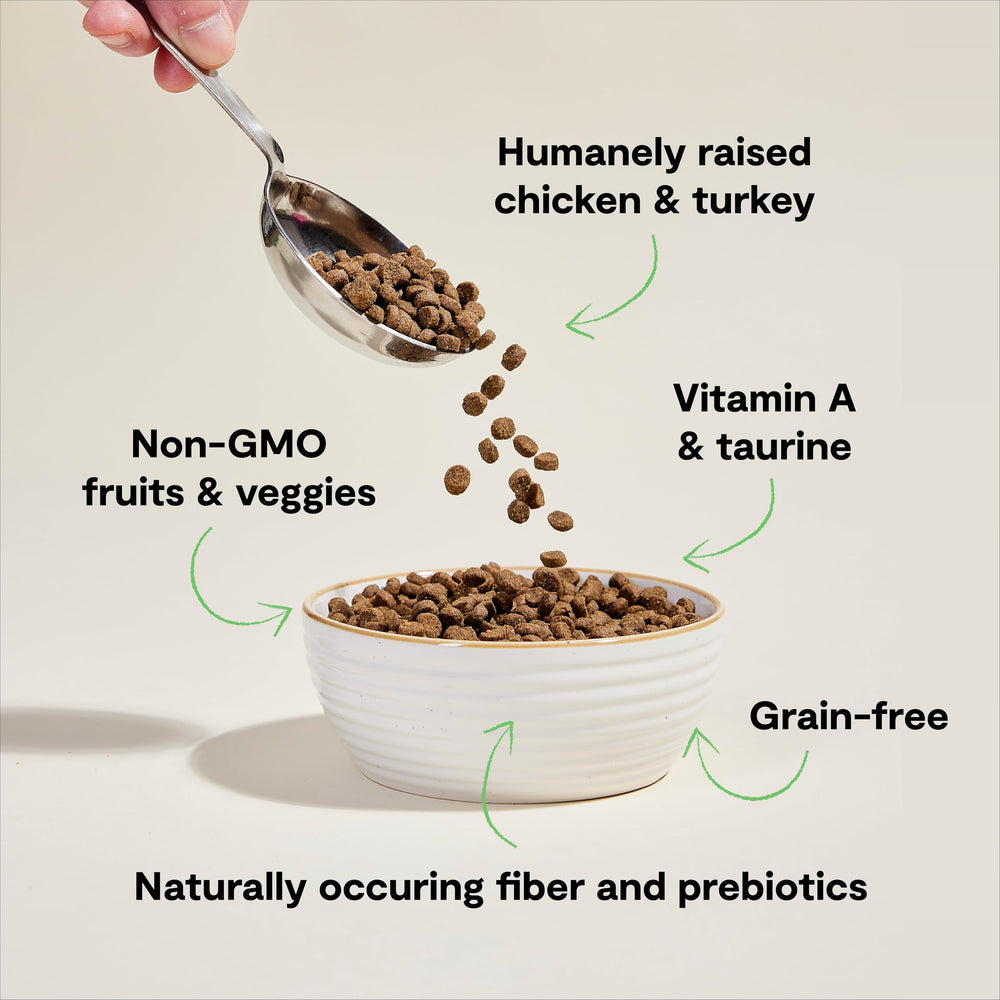Open Farm kitten enjoying kibble illustrates a practical home feeding scene.