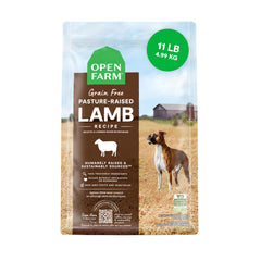 Open Farm Lamb Recipe bag front view highlighting grain-free, protein-rich kibble for dogs.