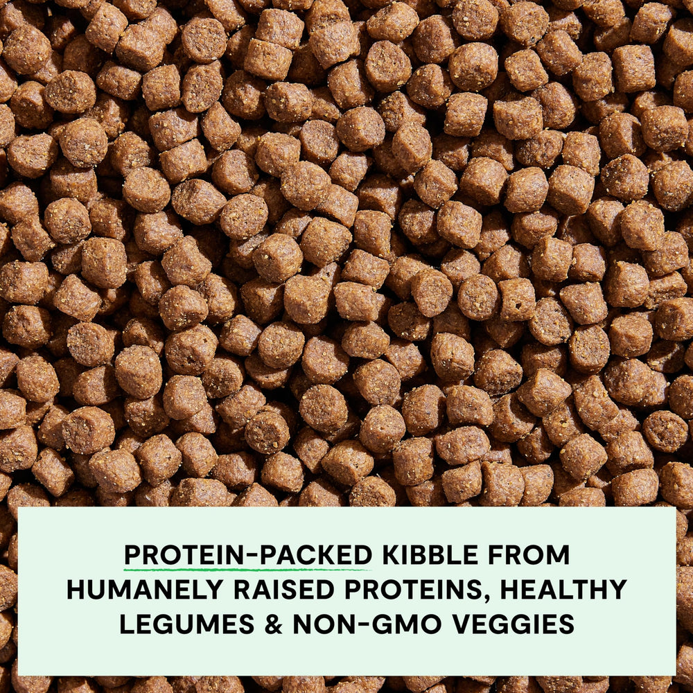 Open Farm Lamb Recipe ingredients list emphasizing ethical sourcing and non-GMO produce.