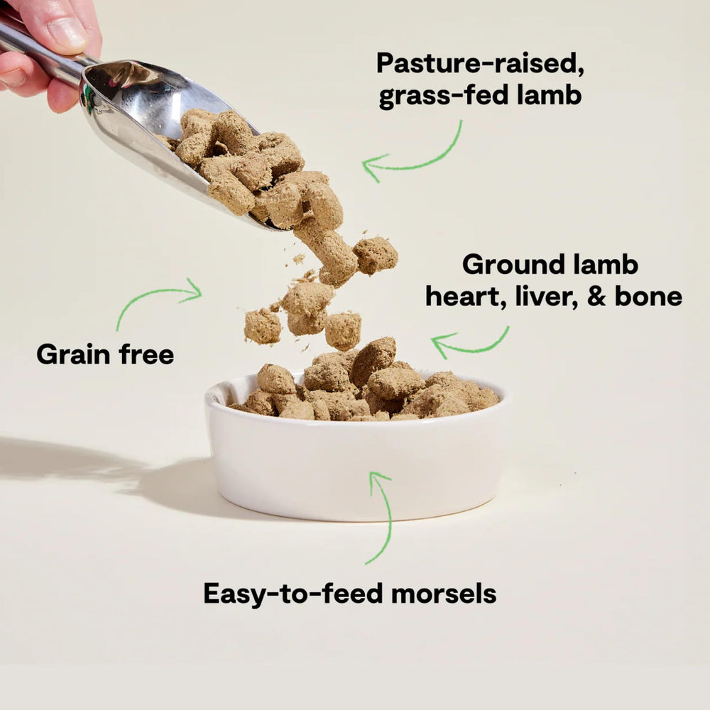 Open Farm morsels close-up showing meat-rich texture for dogs.